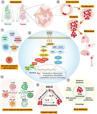 MyD88 signaling pathways: role in breast cancer